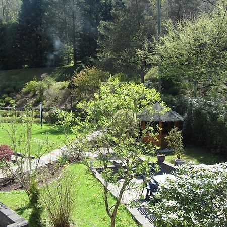 Pension Zum Rothaarsteig Netphen Luaran gambar