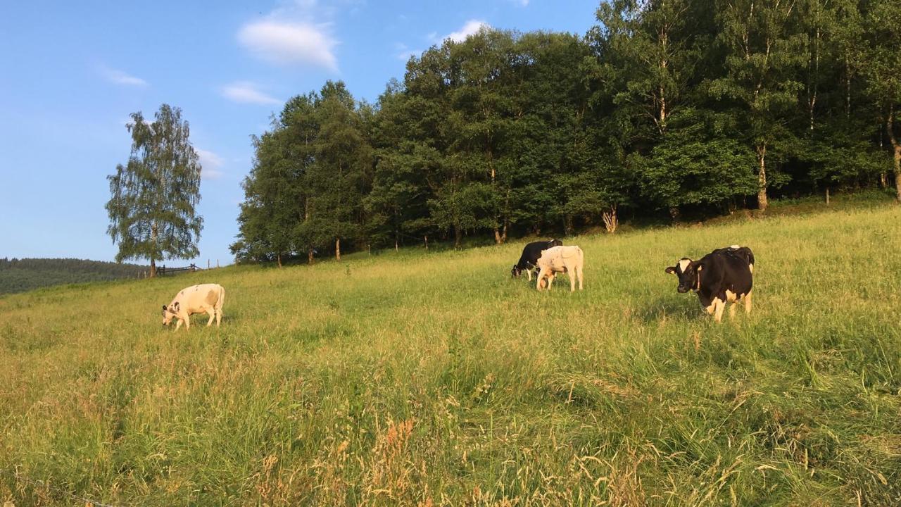 Pension Zum Rothaarsteig Netphen Luaran gambar