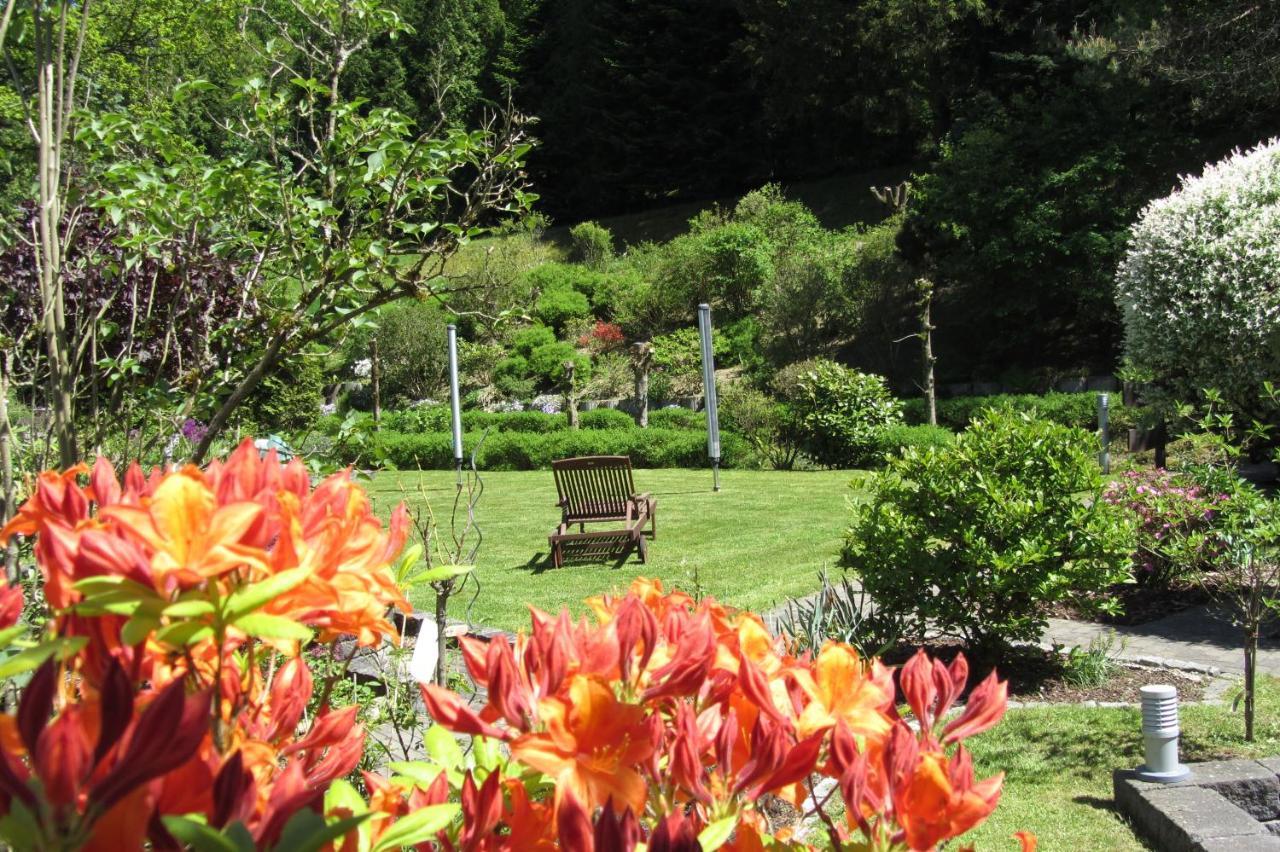 Pension Zum Rothaarsteig Netphen Luaran gambar