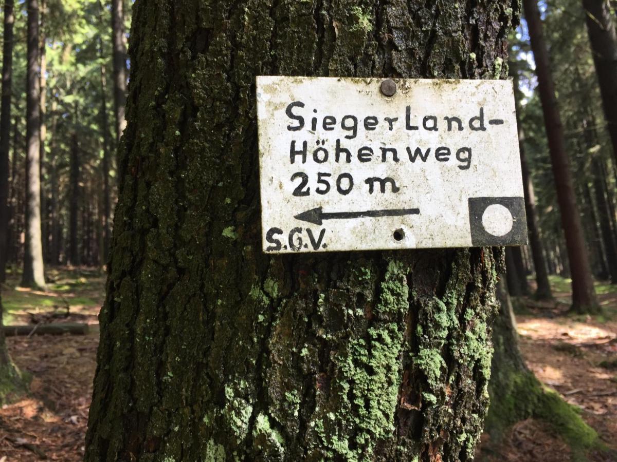 Pension Zum Rothaarsteig Netphen Luaran gambar