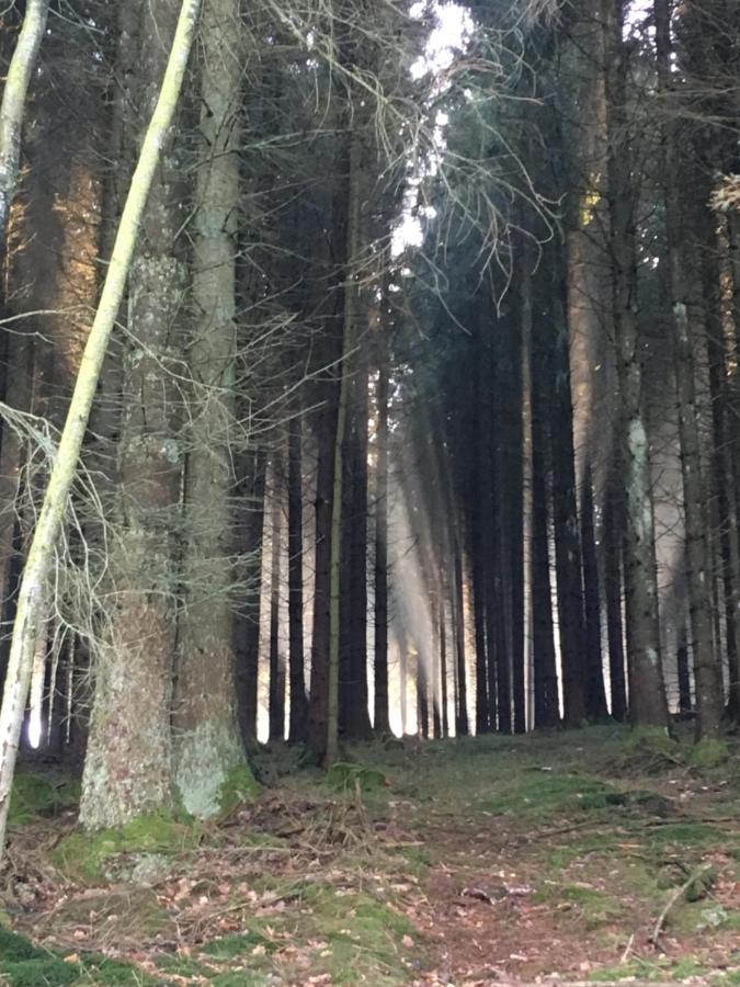 Pension Zum Rothaarsteig Netphen Luaran gambar