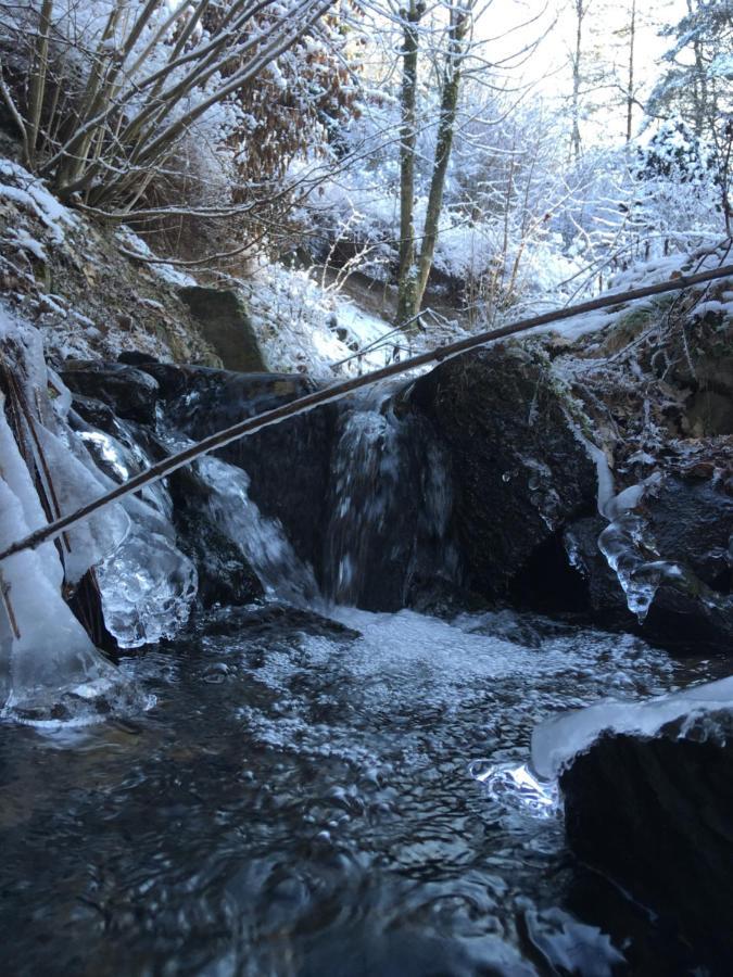 Pension Zum Rothaarsteig Netphen Luaran gambar